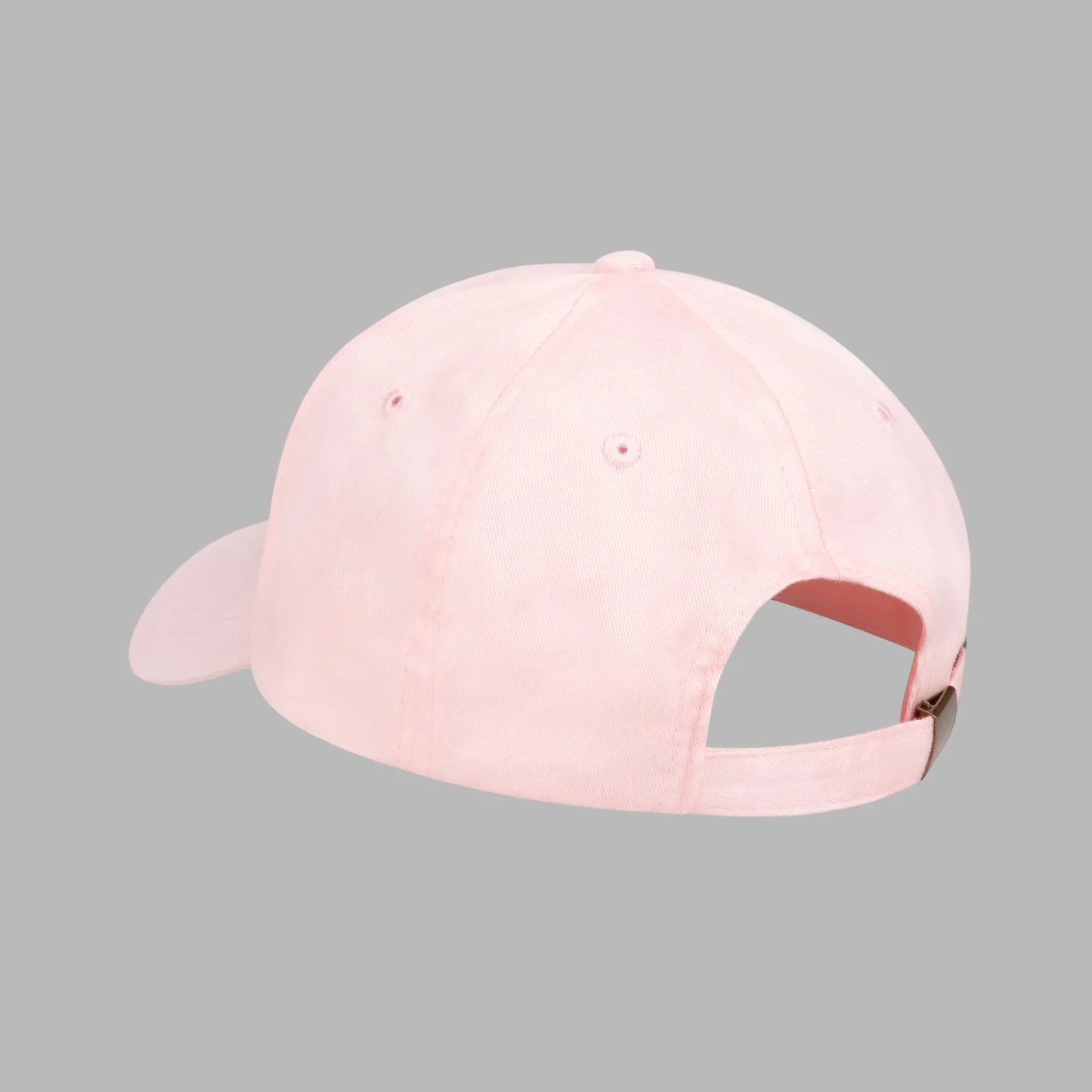 FullyPaid Dreams Cap